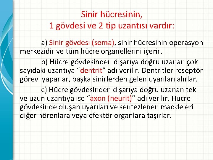 Sinir hücresinin, 1 gövdesi ve 2 tip uzantısı vardır: a) Sinir gövdesi (soma), sinir