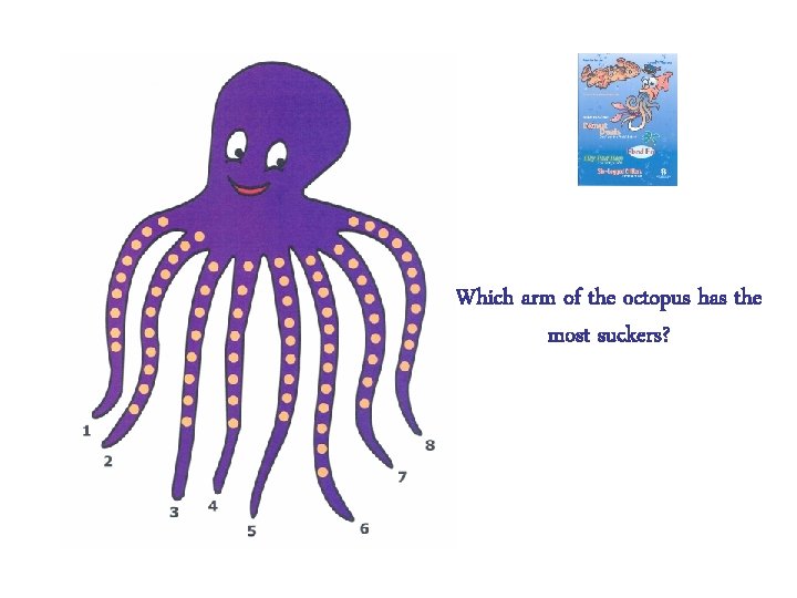 Which arm of the octopus has the most suckers? 