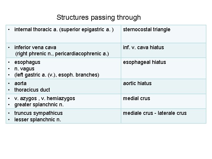 Structures passing through • internal thoracic a. (superior epigastric a. ) sternocostal triangle •