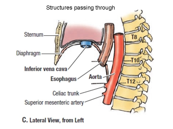 Structures passing through 