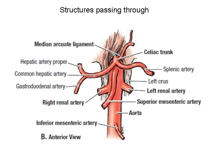 Structures passing through 