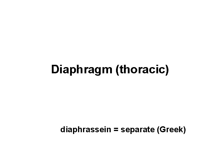 Diaphragm (thoracic) diaphrassein = separate (Greek) 