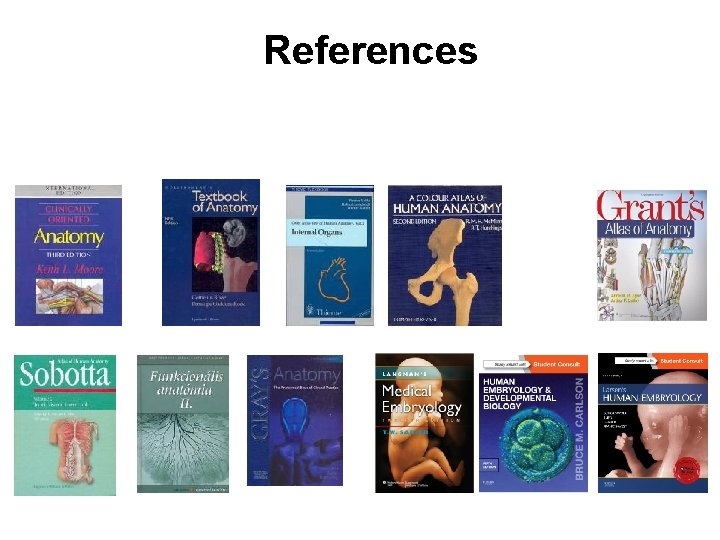 References 