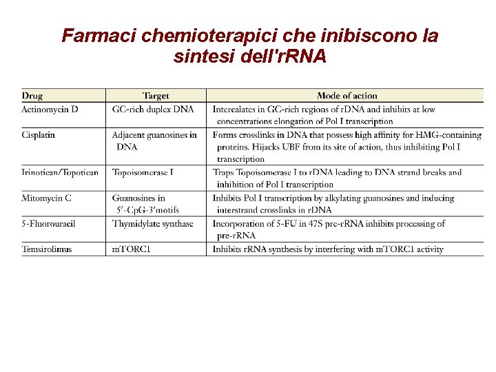 Farmaci chemioterapici che inibiscono la sintesi dell'r. RNA 