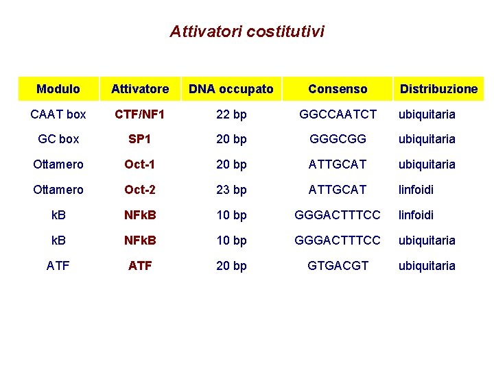 Attivatori costitutivi Modulo Attivatore DNA occupato Consenso Distribuzione CAAT box CTF/NF 1 22 bp