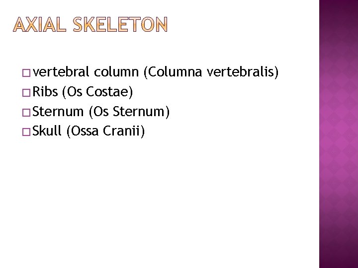 � vertebral column (Columna vertebralis) � Ribs (Os Costae) � Sternum (Os Sternum) � � vertebral column (Columna vertebralis) � Ribs (Os Costae) � Sternum (Os Sternum) �