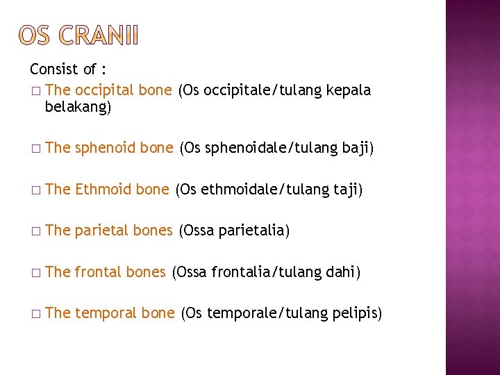 Consist of : � The occipital bone (Os occipitale/tulang kepala belakang) � The sphenoid Consist of : � The occipital bone (Os occipitale/tulang kepala belakang) � The sphenoid