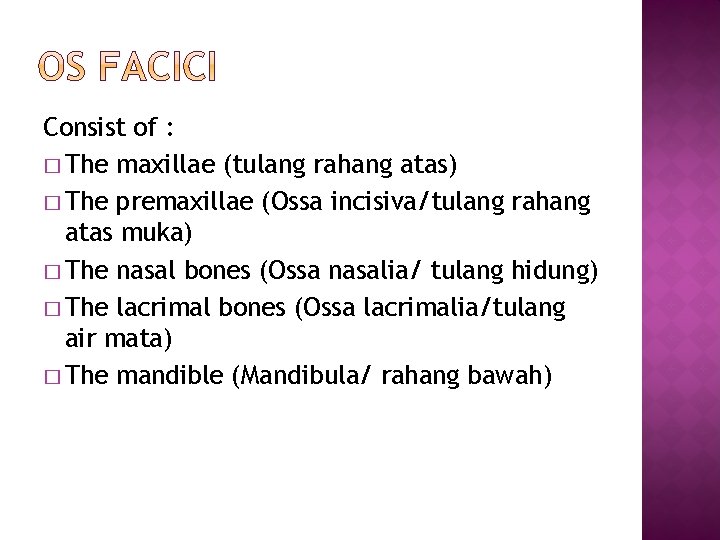 Consist of : � The maxillae (tulang rahang atas) � The premaxillae (Ossa incisiva/tulang Consist of : � The maxillae (tulang rahang atas) � The premaxillae (Ossa incisiva/tulang