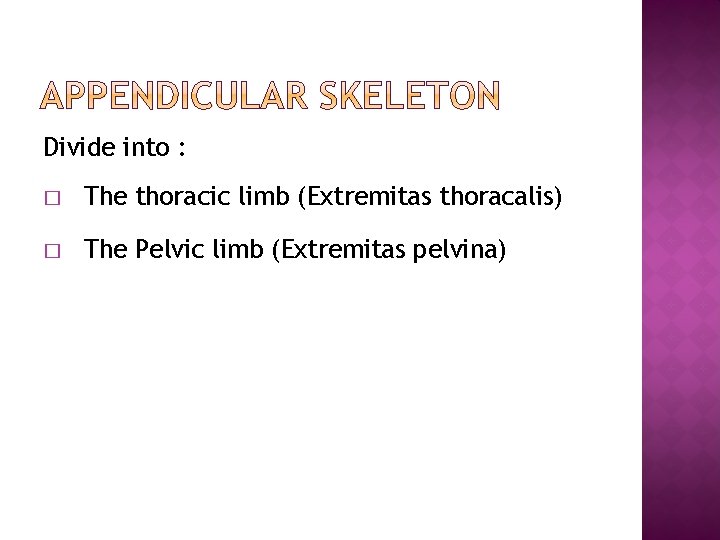 Divide into : � The thoracic limb (Extremitas thoracalis) � The Pelvic limb (Extremitas Divide into : � The thoracic limb (Extremitas thoracalis) � The Pelvic limb (Extremitas