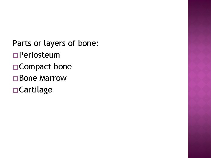 Parts or layers of bone: � Periosteum � Compact bone � Bone Marrow � Parts or layers of bone: � Periosteum � Compact bone � Bone Marrow �