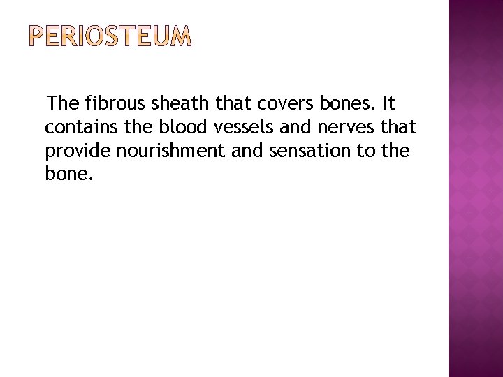 The fibrous sheath that covers bones. It contains the blood vessels and nerves that The fibrous sheath that covers bones. It contains the blood vessels and nerves that