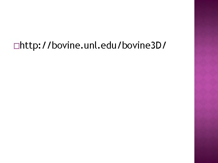 �http: //bovine. unl. edu/bovine 3 D/ �http: //bovine. unl. edu/bovine 3 D/