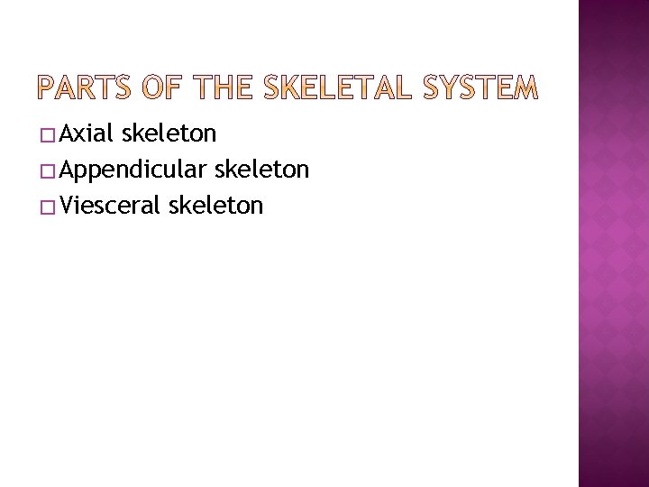 � Axial skeleton � Appendicular skeleton � Viesceral skeleton � Axial skeleton � Appendicular skeleton � Viesceral skeleton
