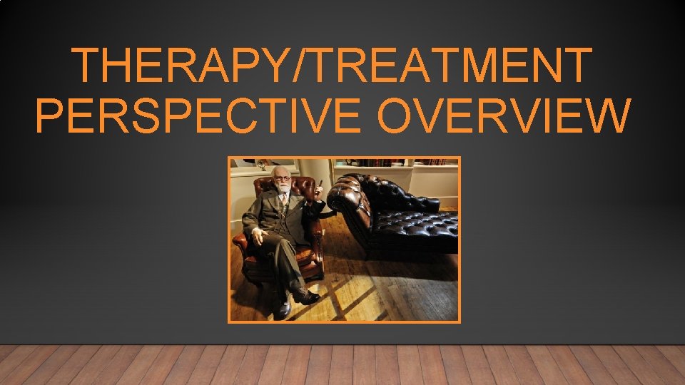 THERAPY/TREATMENT PERSPECTIVE OVERVIEW 