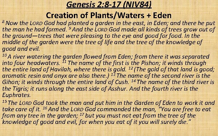 8 Now Genesis 2: 8 -17 (NIV 84) Creation of Plants/Waters + Eden the