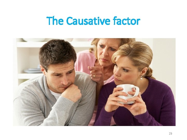 The Causative factor 23 