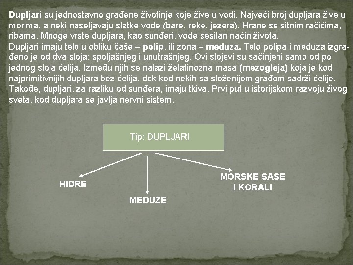 Dupljari su jednostavno građene životinje koje žive u vodi. Najveći broj dupljara žive u