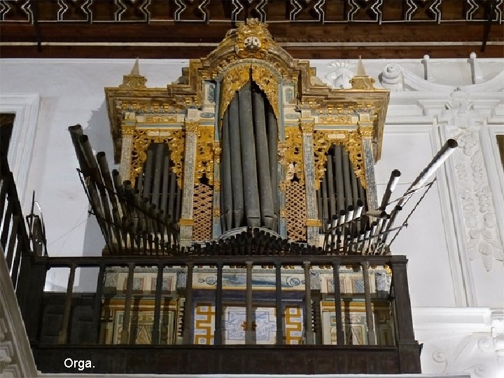 Orga. 