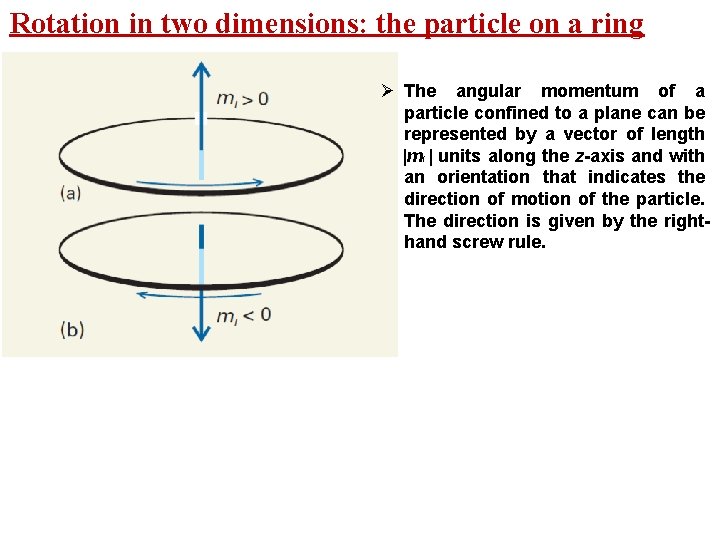 Rotation in two dimensions: the particle on a ring Ø The angular momentum of