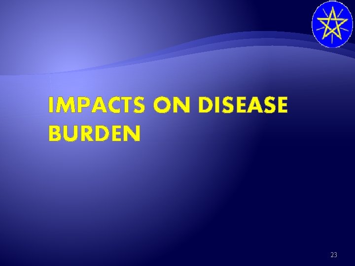 IMPACTS ON DISEASE BURDEN 23 