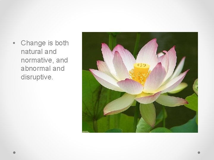 • Change is both natural and normative, and abnormal and disruptive. • Change is both natural and normative, and abnormal and disruptive.