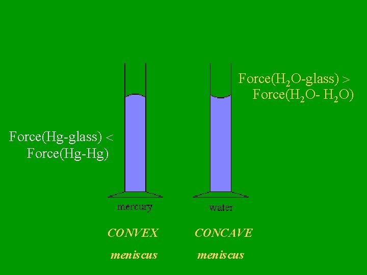 Force(H 2 O-glass) Force(H 2 O- H 2 O) Force(Hg-glass) Force(Hg-Hg) CONVEX CONCAVE meniscus