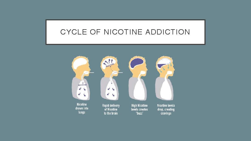 CYCLE OF NICOTINE ADDICTION 