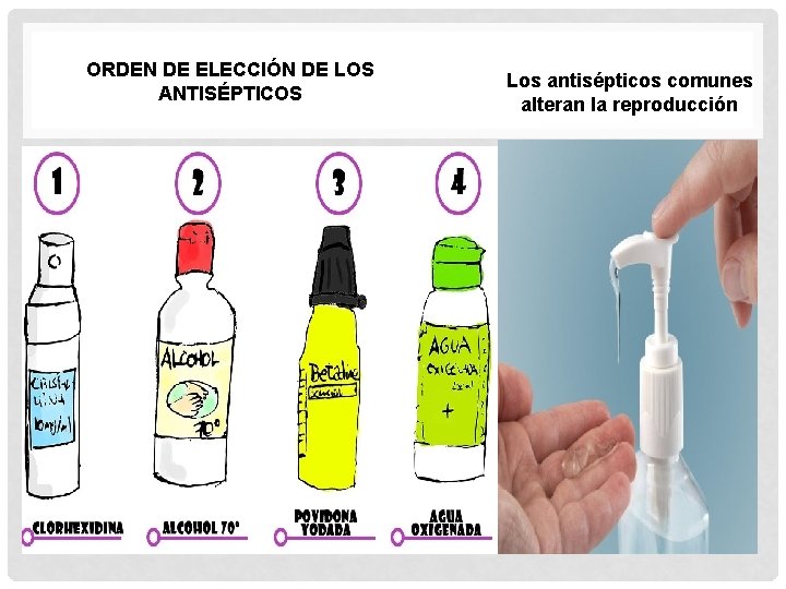 ORDEN DE ELECCIÓN DE LOS ANTISÉPTICOS Los antisépticos comunes alteran la reproducción 
