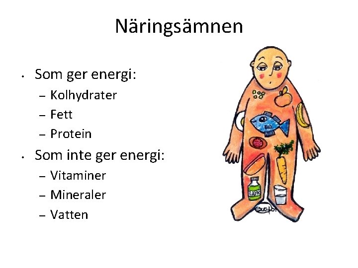 Näringsämnen • Som ger energi: – – – • Kolhydrater Fett Protein Som inte