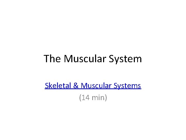 The Muscular System Skeletal & Muscular Systems (14 min) 