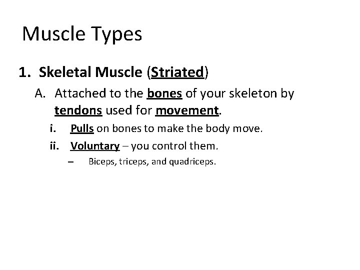 Muscle Types 1. Skeletal Muscle (Striated) A. Attached to the bones of your skeleton