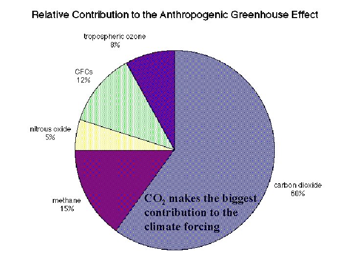 CO 2 makes the biggest contribution to the climate forcing 