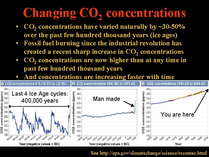 Changing CO 2 concentrations • CO 2 concentrations have varied naturally by ~30 -50%