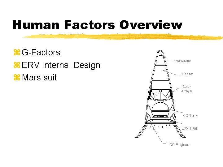 Human Factors Overview z G-Factors z ERV Internal Design z Mars suit 