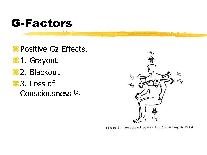 G-Factors z Positive Gz Effects. z 1. Grayout z 2. Blackout z 3. Loss