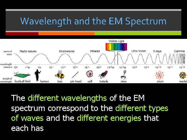 Wavelength and the EM Spectrum The different wavelengths of the EM spectrum correspond to