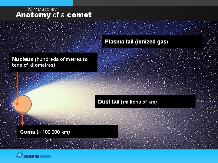 What is a comet? Anatomy of a comet Plasma tail (ionized gas) Nucleus (hundreds