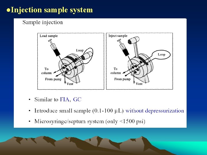 ●Injection sample system 