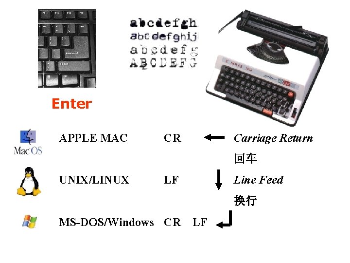 Enter APPLE MAC CR Carriage Return 回车 UNIX/LINUX LF Line Feed 换行 MS-DOS/Windows CR