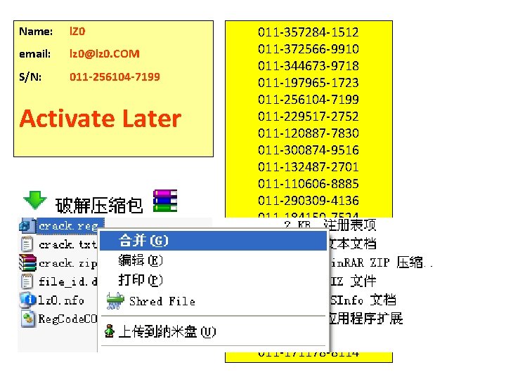 Name: l. Z 0 email: lz 0@lz 0. COM S/N: 011 -256104 -7199 Activate