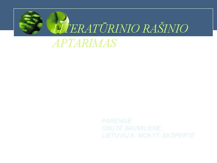 LITERATŪRINIO RAŠINIO APTARIMAS PARENGĖ ONUTĖ BAUMILIENĖ, LIETUVIŲ K. MOKYT. EKSPERTĖ 