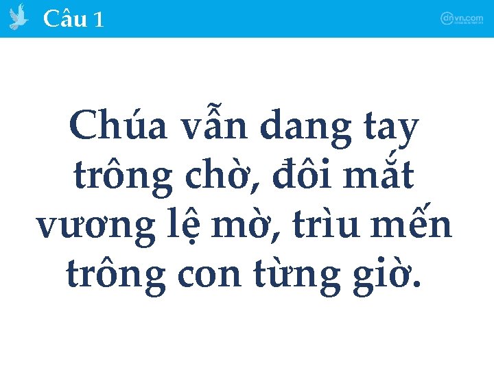 Câu 1 Chúa vẫn dang tay trông chờ, đôi mắt vương lệ mờ, trìu