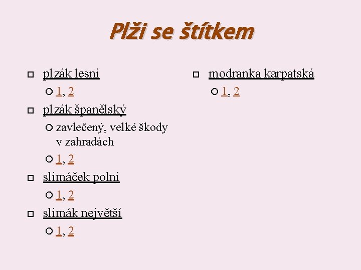 Plži se štítkem plzák lesní 1, 2 plzák španělský zavlečený, velké škody v zahradách