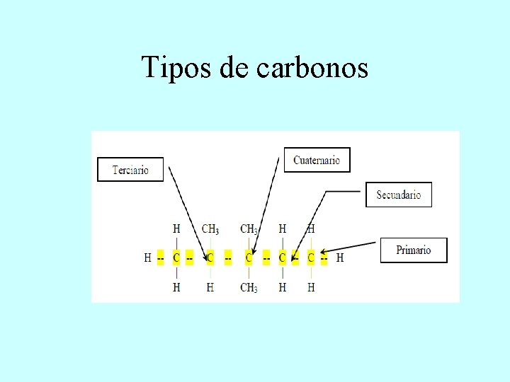 Tipos de carbonos 