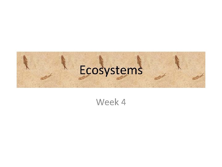 Ecosystems Week 4 