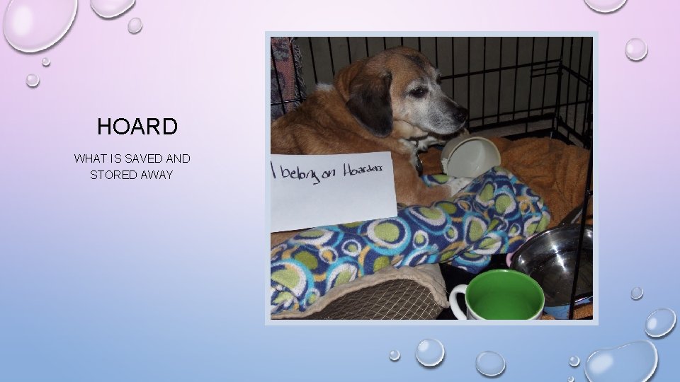 HOARD WHAT IS SAVED AND STORED AWAY 