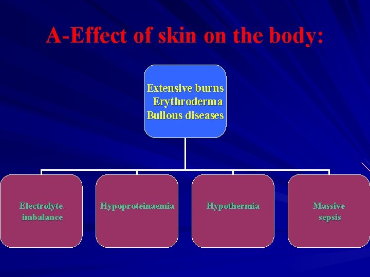 A-Effect of skin on the body: Extensive burns Erythroderma Bullous diseases Electrolyte imbalance Hypoproteinaemia