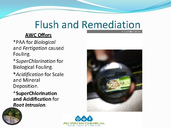 Flush and Remediation AWC Offers *PAA for Biological and Fertigation caused Fouling. *Super. Chlorination