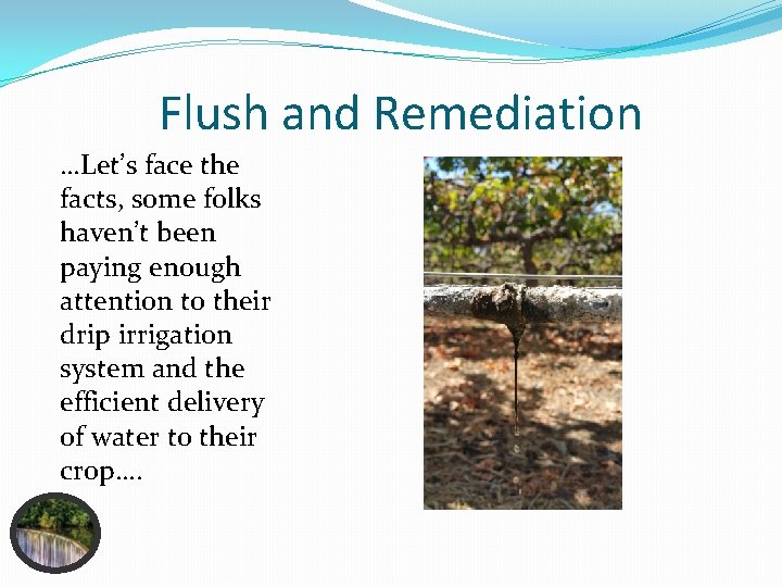 Flush and Remediation …Let’s face the facts, some folks haven’t been paying enough attention