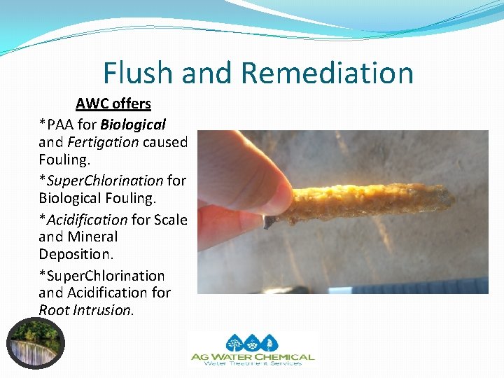 Flush and Remediation AWC offers *PAA for Biological and Fertigation caused Fouling. *Super. Chlorination